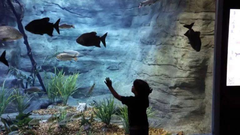 Bioparque Pantanal recebe visitantes com agendamento no feriado de Tiradentes