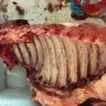 Comerciante é preso por vender carne e ovos impróprios para consumo em Campo Grande