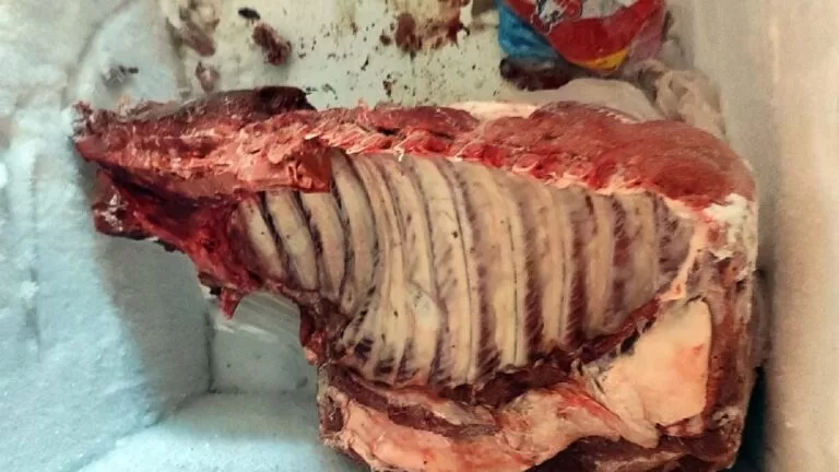 Comerciante é preso por vender carne e ovos impróprios para consumo em Campo Grande