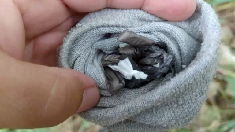 PMA apreende cocaína em fiscalização contra pesca predatória no rio Paraguai