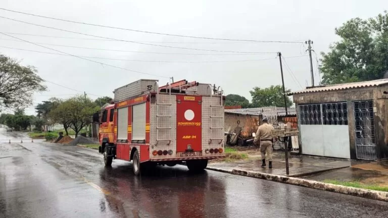Residência e Creche são isoladas após aparecimento de 2ª onça-pintada em Ladário