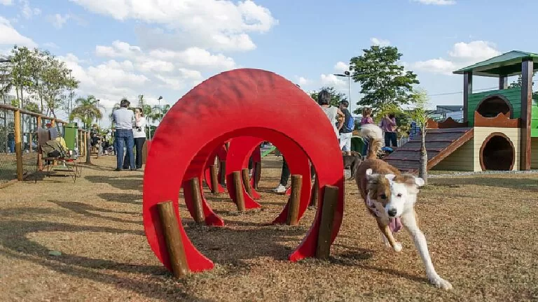 Campo Grande terá 1º parque especialmente projetado para cães
