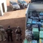 Polícia Federal incinera mais de 11 toneladas de maconha em Ponta Porã