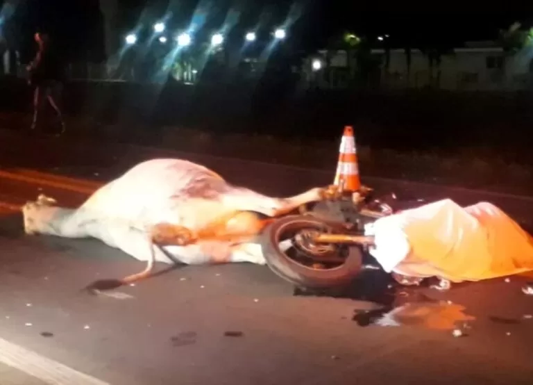 Dnit é condenado a pagar R$ 200 mil a casal que perdeu filho em acidente com vaca