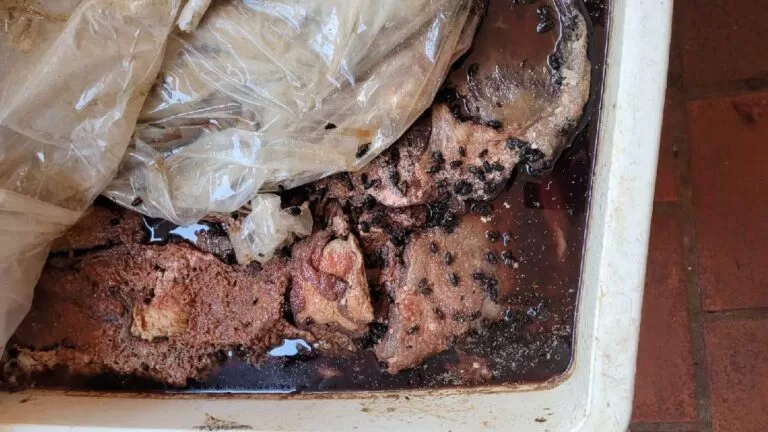 Polícia Civil apreende 30 toneladas de alimentos impróprios e prende comerciante em Ponta Porã