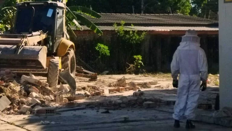 Enxame de abelhas em posto de combustível desativado mobiliza equipe dos Bombeiros