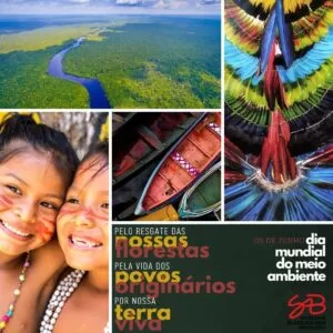Leia mais sobre o artigo Nota da Sociedade de Arqueologia Brasileira em defesa dos direitos dos povos indígenas e contra o PL 490 e a tese do marco temporal