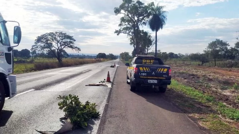 Homem morre atropelado na BR 262 em Aquidauana