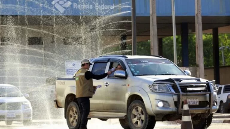 Influenza aviária: MS decreta estado de Emergência Zoossanitária e fortalece ações preventivas