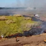 Incêndios podem ter degradado 9% do Pantanal nos últimos cinco anos