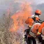 Atuação dos bombeiros é destaque no combate a incêndios florestais