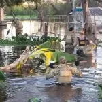 Operação Yaguara combate caça ilegal de onça-pintada e biopirataria no Pantanal