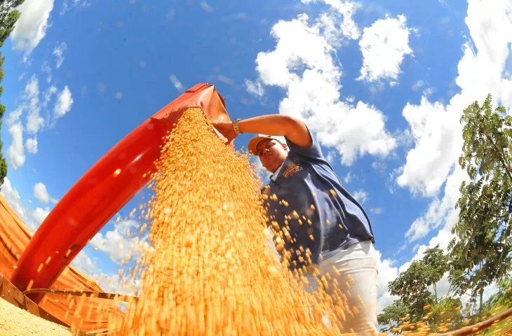 Leia mais sobre o artigo Força do Agro: produção agrícola total do Estado deverá superar os 106,5 milhões de toneladas neste ano