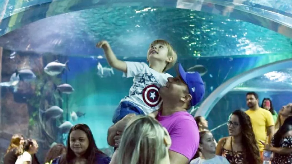 Bioparque Pantanal impressiona com 5 milhões de litros e título de maior aquário de água doce do mundo 2 bioparque pantanal Bioparque Pantanal