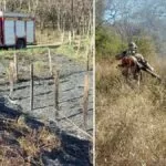 Bombeiros combatem incêndio em vegetação na BR 262 em Corumbá