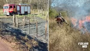 Leia mais sobre o artigo Bombeiros combatem incêndio em vegetação na BR 262 em Corumbá