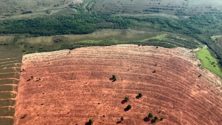 desmatamento em corumbá