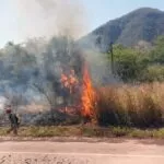 Fogo queima 20 hectares de vegetação na BR-262 e mobiliza bombeiros de Corumbá