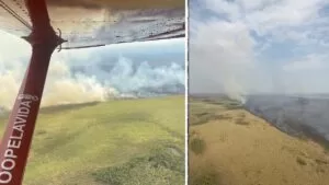 Leia mais sobre o artigo Incêndio florestal na região do Nabileque mobiliza equipes do Corpo de Bombeiros