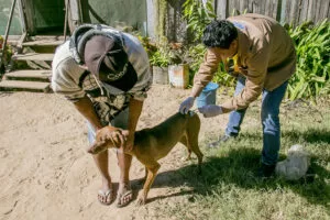 Leia mais sobre o artigo Dia “D” de Combate à Leishmaniose será neste sábado em Corumbá