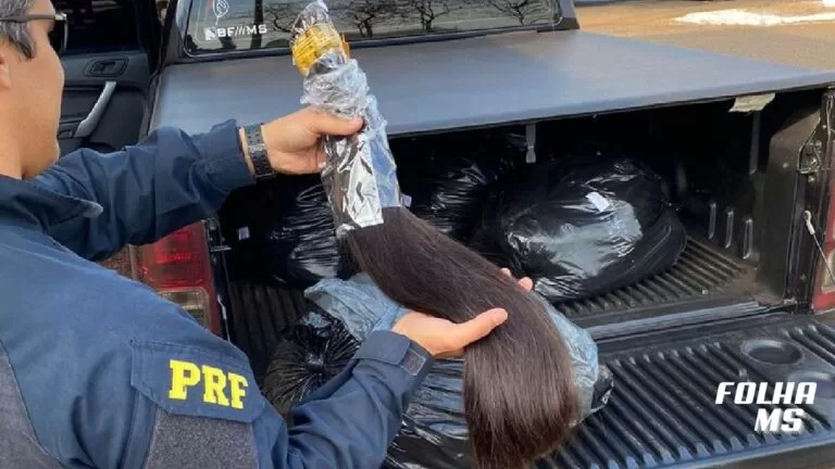 Contrabando de cabelo humano vira alvo de apreensões milionárias na fronteira de MS