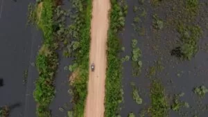 Leia mais sobre o artigo IHP apresenta iniciativas desenvolvidas no Pantanal no Fórum Pontes Pantaneiras