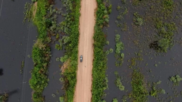 IHP apresenta iniciativas desenvolvidas no Pantanal no Fórum Pontes Pantaneiras