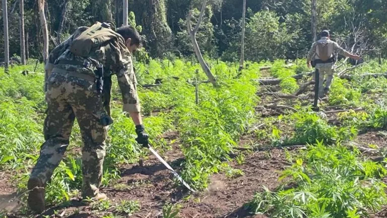 Operação Nova Aliança