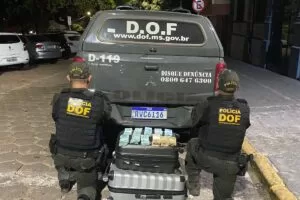 Leia mais sobre o artigo Casal é preso pelo DOF com R$ 90 mil em dinheiro na fronteira com a Bolívia
