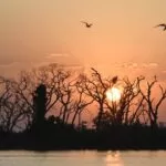 Calor segue forte com máxima de até 43°C em MS