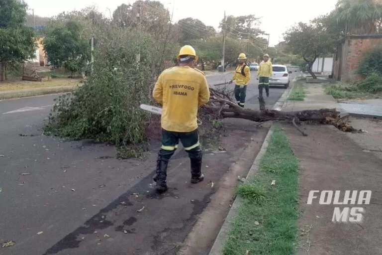 Brigada do IBAMA Prevfogo auxilia nas ações para liberação das vias em Corumbá