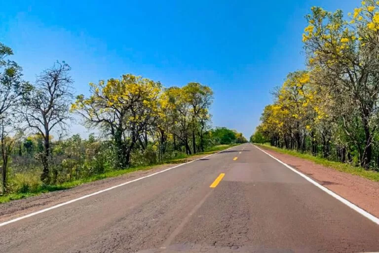 Governador vai reforçar à União pedido de repasse da BR-262 e BR-267 para concessão