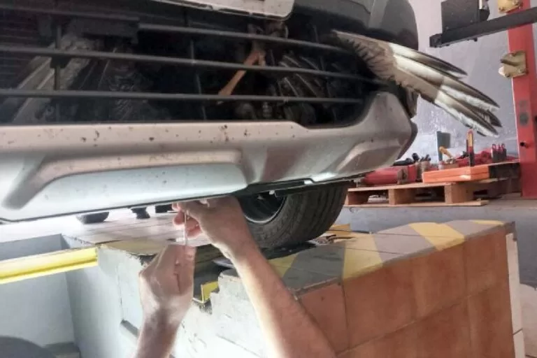 Carcará resgatado pela PMA