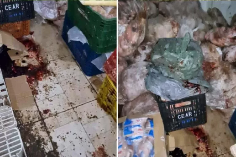 Mercado é interditado por vender carne podre em Campo Grande