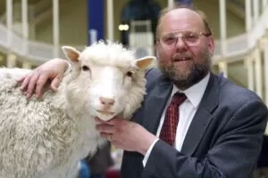 Leia mais sobre o artigo Morre Ian Wilmut, o cientista que criou a ovelha clonada Dolly