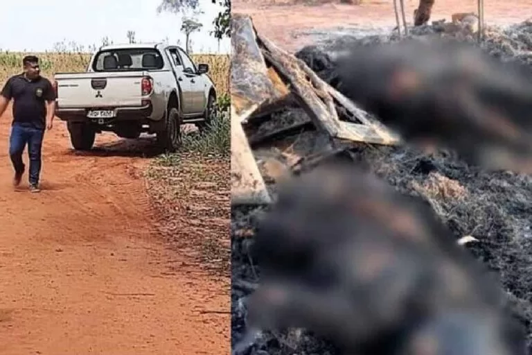 casal de curandeiros