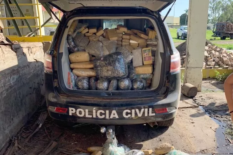 Polícia Civil incinera quase meia tonelada de drogas em Miranda