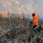 Bombeiros iniciam combate aéreo a focos de incêndio em Bonito