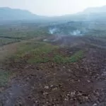 Novos focos de incêndios florestais avançam sobre mais de 400 hectares no Pantanal | vídeo