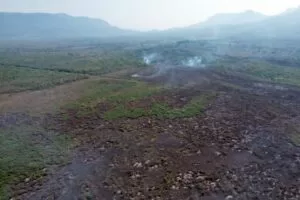 Leia mais sobre o artigo Novos focos de incêndios florestais avançam sobre mais de 400 hectares no Pantanal | vídeo