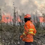 Proprietário de fazenda abandonada é multada em R$ 19 milhões por incêndio no Pantanal