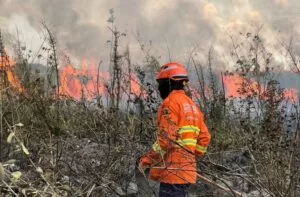 Leia mais sobre o artigo Proprietário de fazenda abandonada é multada em R$ 19 milhões por incêndio no Pantanal