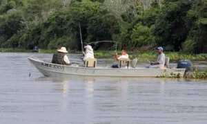Leia mais sobre o artigo Há dois meses do início da piracema, pesca esportiva ainda movimenta turismo no Pantanal