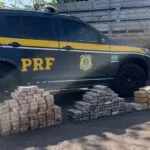 PRF apreende 128 Kg de cocaína e 16 Kg de skunk na BR-262