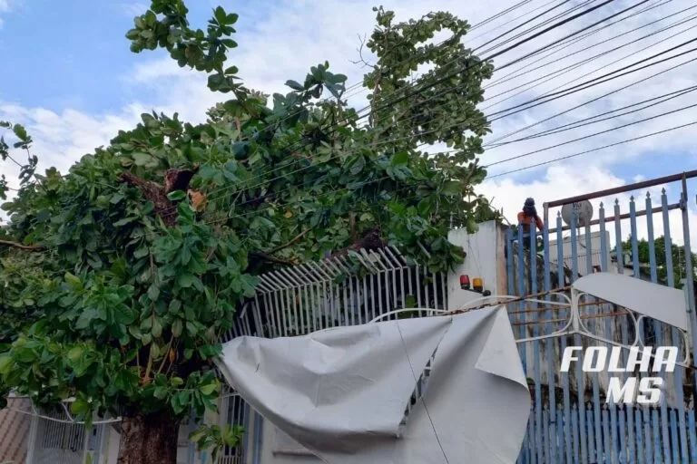 Vídeos mostram destruição e dimensão do temporal que atingiu Corumbá