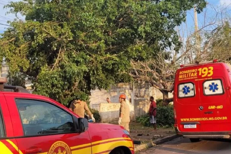 Temporal deixou 26 bairros de Corumbá sem Luz e Energisa reforça equipes na cidade