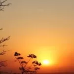 Onda de calor e baixa umidade do ar desafiam a saúde em Mato Grosso do Sul