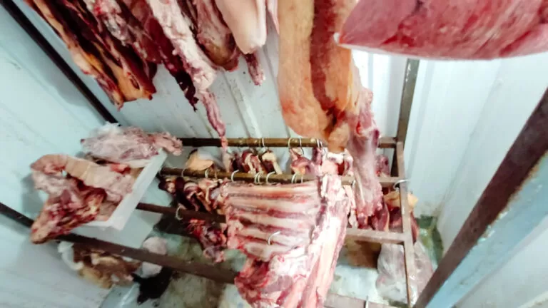 Polícia Civil apreende mais de 3 toneladas de carne imprópria para o consumo em Ladário