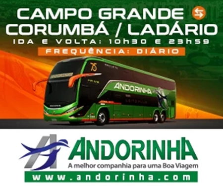 banner andorinha Folha MS