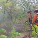 Bombeiros combatem incêndios há quatro dias no Pantanal